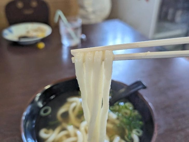 なんだかんだ一番おいしいと感じたのは、このかけうどん