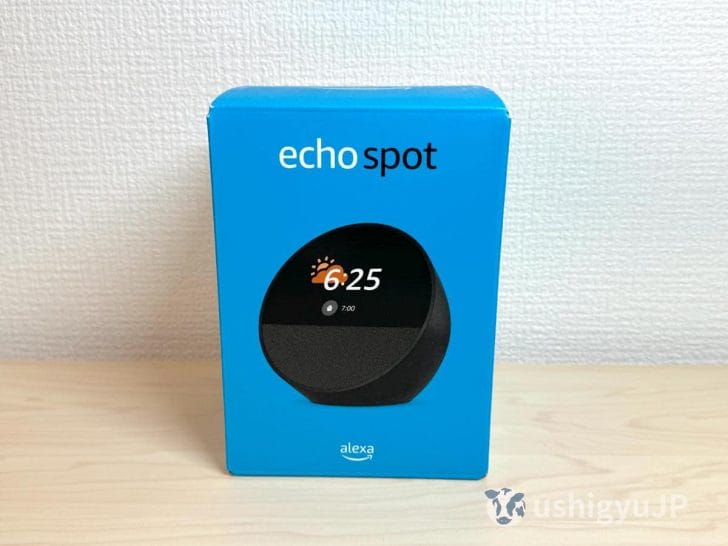 Echo Spotのパッケージ