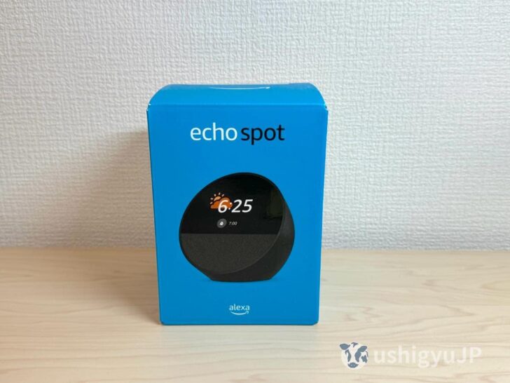Echo Spot