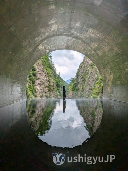 Tunnel of Light（トンネル オブ ライト）