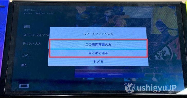 1枚だけ投稿するなら「この画面写真のみ」、2〜4枚の投稿なら「まとめて送る」をタップ