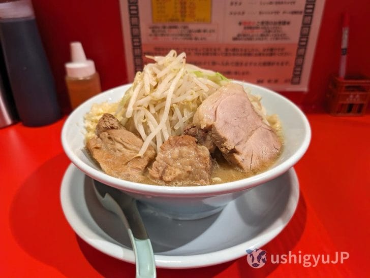 普通のラーメンではなかなか見ない盛り