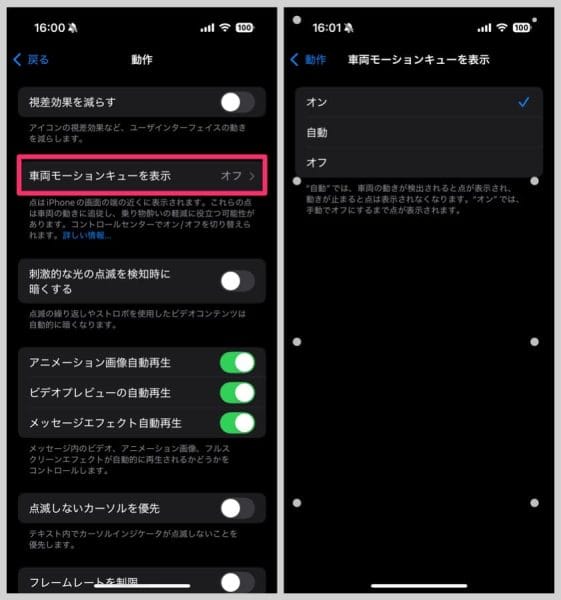 車両モーションキューを表示をオンに