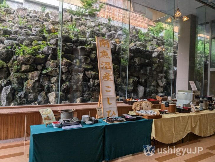 朝は米どころとしてもよく知られる南魚沼産のこしひかり