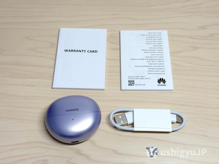 中身はイヤホン本体の入ったケース、USB-A to USB-C充電ケーブル、保証書など